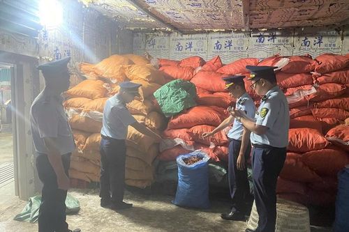 Phát hiện gần 8 tấn chân gà mua trôi nổi về bán kiếm lời