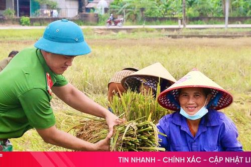 Nông dân Hà Tĩnh khẩn trương thu hoạch lúa xuân trước dự báo mưa lớn