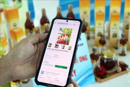 Số lượng đơn nước ngoài liên quan đến quyền sở hữu trí tuệ vào Việt Nam ngày càng tăng