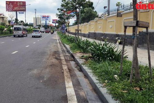 TP Hồ Chí Minh: Nhiều điểm rác thải được dọn sạch sau phản ánh của Báo Tin tức và Dân tộc