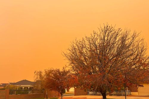 Bão bụi, lũ lụt tàn phá nhiều khu vực của Australia