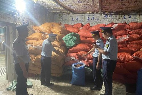 Phát hiện gần 8 tấn chân gà không rõ nguồn gốc đang chờ tiêu thụ