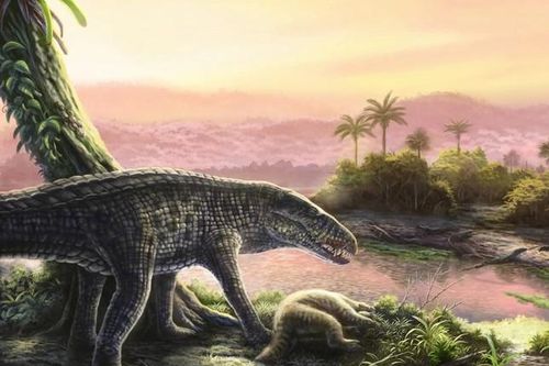 Lộ diện 'quái vật ăn thịt đỉnh cao' tại Caribe: Dấu vết của cây cầu cổ nối liền các hòn đảo