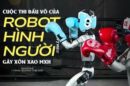 Cuộc thi đấu võ của robot hình người gây xôn xao mạng xã hội