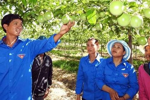 4 giải pháp 'tiếp sức' phụ nữ dân tộc thiểu số khởi nghiệp