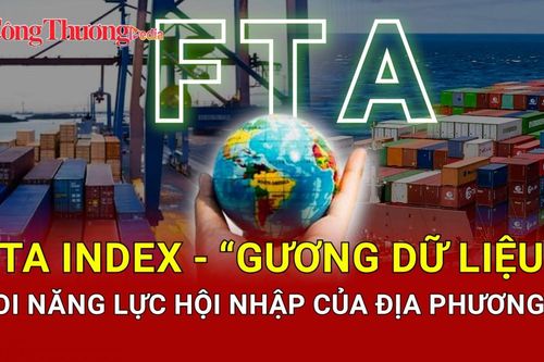 FTA Index: 'Gương dữ liệu' soi năng lực hội nhập của địa phương