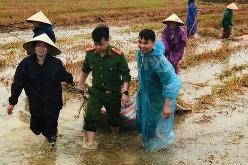 Công an, bộ đội giúp dân thu hoạch lúa sau mưa lũ ở Hà Tĩnh