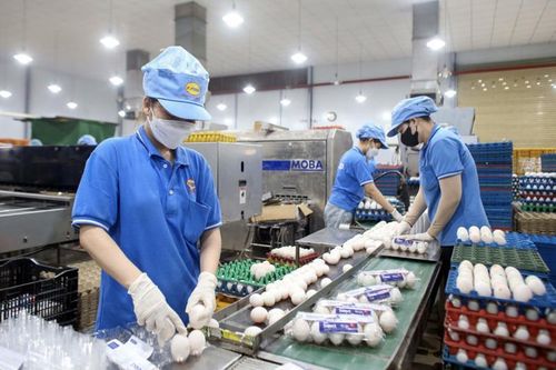 Thủ tục đầu tư rối rắm đang cản trở dòng vốn vào nền kinh tế