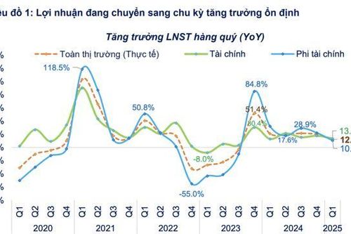 Lợi nhuận doanh nghiệp quý 1/2025: Chỉ tăng 12% nhưng chất lượng và ổn định, không còn phụ thuộc vào thu nhập tài chính