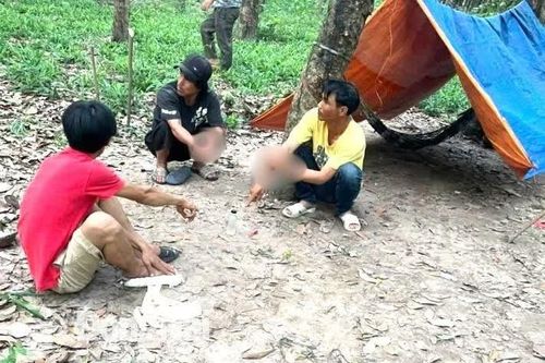 Công an Đồng Nai liên tiếp phát hiện và bắt giữ nhiều đối tượng liên quan đến ma túy