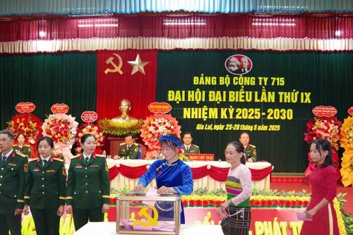 Đảng bộ Công ty 715 tổ chức thành công Đại hội đại biểu lần thứ IX