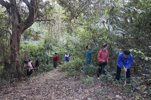 Bảo vệ tốt diện tích rừng
