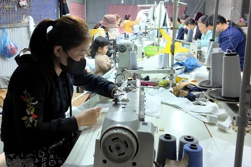 Đồng hành cùng hội viên phụ nữ phát triển kinh tế
