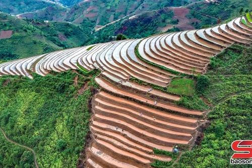 Ruộng bậc thang nơi vùng cao Xím Vàng