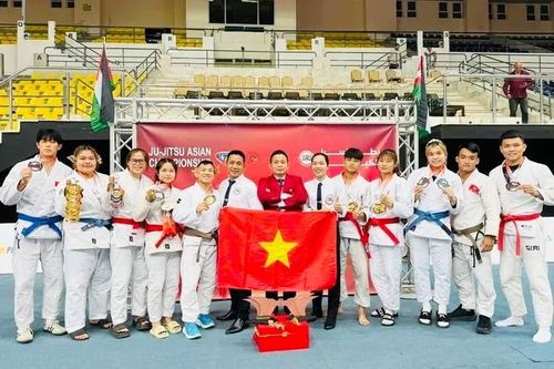 Đội jujitsu Việt Nam xếp hạng 3 châu Á với 11 tấm HCV