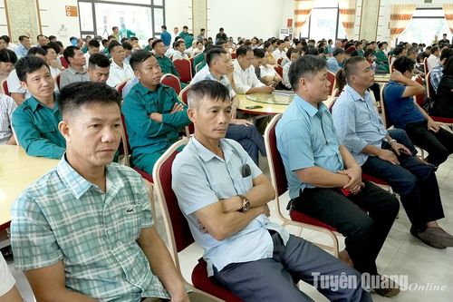 Sơn Dương rút kinh nghiệm phòng cháy và chữa cháy rừng