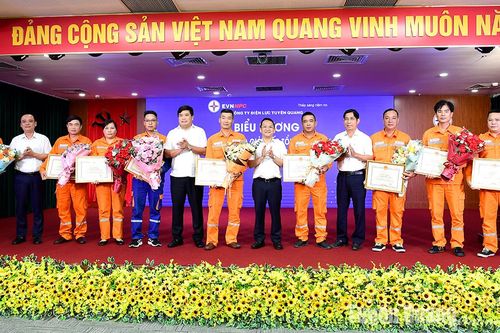 Công ty Điện lực Tuyên Quang biểu dương 9 công nhân lao động giỏi cấp Tổng Công ty năm 2025