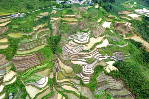 Mùa nước đổ trên… Cao nguyên đá