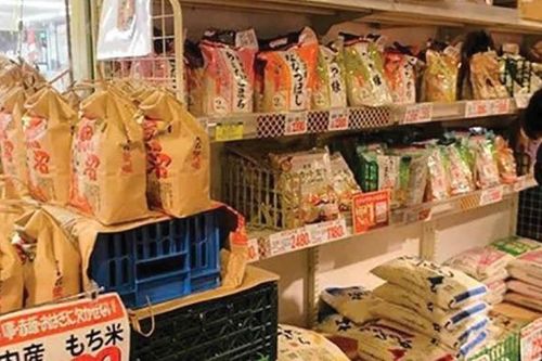 Hàn Quốc: Xuất khẩu dự kiến giảm 4,9% nếu Mỹ duy trì chính sách thuế hiện tại