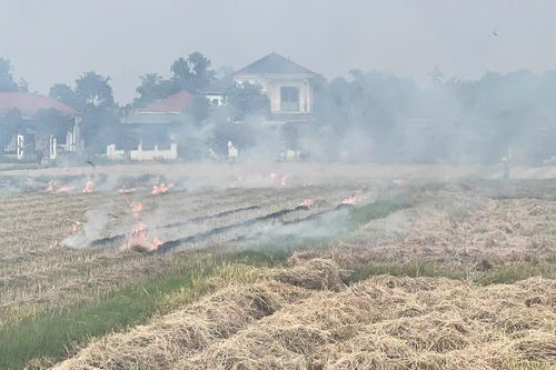 Hà Tĩnh: Đốt rơm rạ sau mùa gặt – lợi bất cập hại