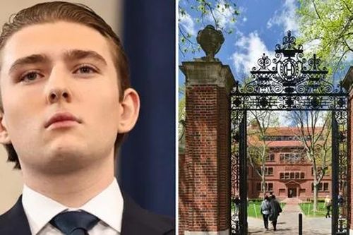 Thực hư việc Tổng thống Trump 'nhắm' vào ĐH Harvard vì con trai Barron bị từ chối