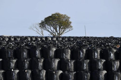 Nhật Bản rải đất nhiễm xạ từ Fukushima tại Văn phòng Thủ tướng