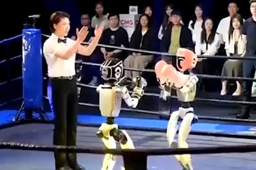 Robot hình người đấu võ tại Trung Quốc