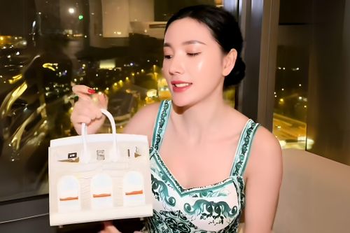 Chiếc túi Hermès khiến Ngân Collagen bị tố 'phông bạt'