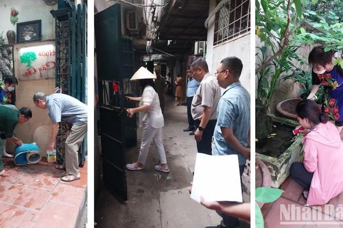 Bộ Y tế khuyến cáo trong cao điểm sốt xuất huyết