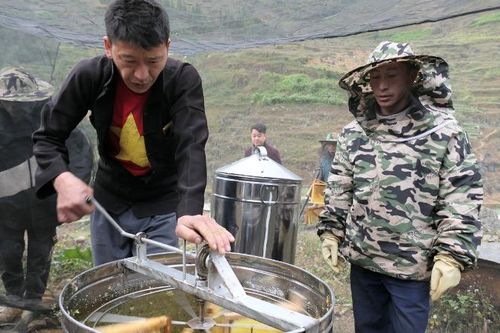Nhà hàng, khách sạn ở huyện Đồng Văn ký kết tiêu thụ nông sản cho nhân dân