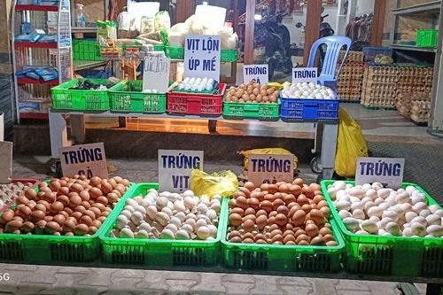 Doanh nghiệp chật vật vì tin đồn trứng gà giả