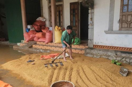 Hà Tĩnh: Nông dân mất mùa… ngay trong nhà