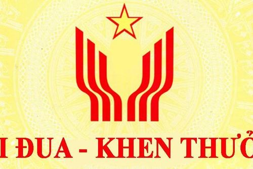 Đủ điều kiện xét tặng Chiến sĩ thi đua cấp tỉnh có phải làm sáng kiến khoa học cấp tỉnh?