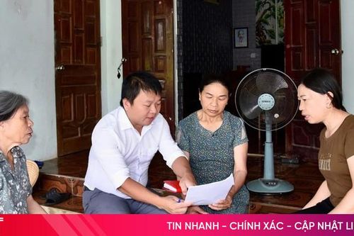 Đi tìm sự thật phía sau những lá đơn