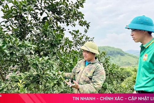 'Biến' đất cằn thành mô hình kinh tế hiệu quả