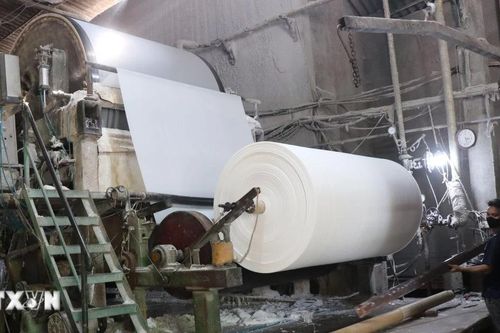 Kiên quyết đóng cửa cơ sở sản xuất giấy tại Phong Khê vi phạm các quy định