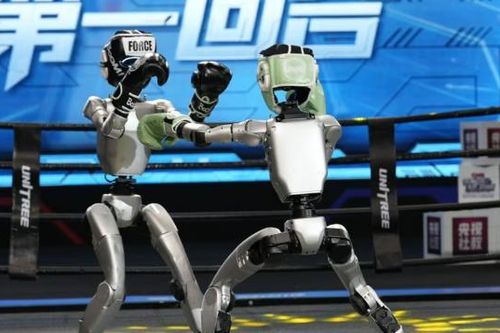 Bí mật đằng sau các trận đấu võ gay cấn của robot Trung Quốc