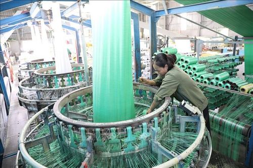 Xử lý dứt điểm tình trạng tồn đọng đơn sở hữu công nghiệp trước tháng 10/2025