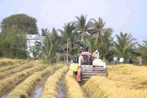 Triển lãm nông nghiệp và chăn nuôi thúc đẩy chuyển giao công nghệ và xuất khẩu bền vững