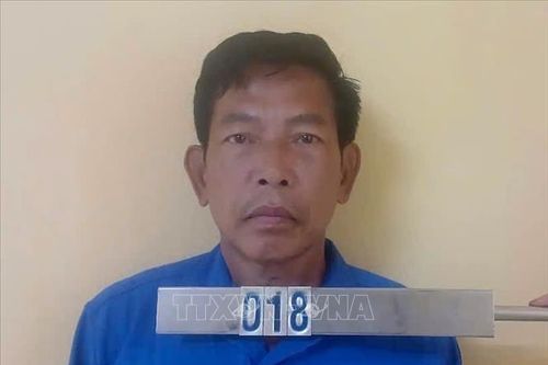 Tạm giữ hai đối tượng trong vụ hành hung cán bộ, nhân viên công ty lâm nghiệp