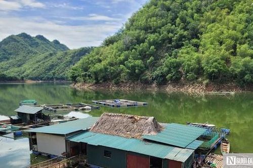 Cuộc chiến ở 'thủ phủ' ma túy xứ Thanh (kỳ cuối): Hồi sinh vùng đất 'chết'