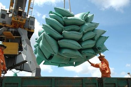 VCCI kiến nghị bỏ loạt quy định cản trở doanh nghiệp xuất khẩu gạo