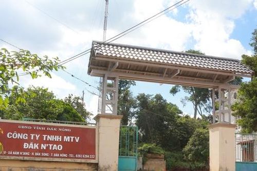 Bắt giữ nhóm đối tượng đánh phó giám đốc công ty lâm nghiệp trọng thương