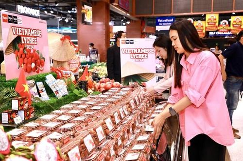 Central Retail sẽ tiêu thụ khoảng 1.000 tấn vải thiều của tỉnh Bắc Giang