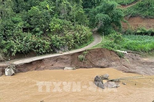 Chủ động ứng phó với vùng áp thấp và lũ trên các sông ở Bắc Bộ và Thanh Hóa