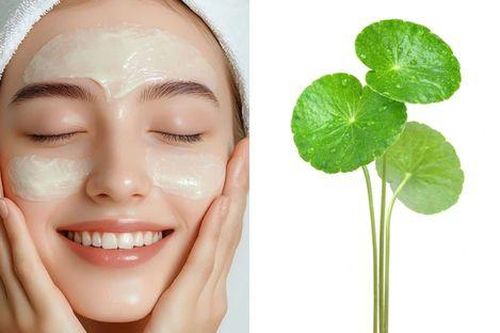 Thần dược rau má: Từ món ăn dân dã đến 'bí thuật' dưỡng da của Gen Z