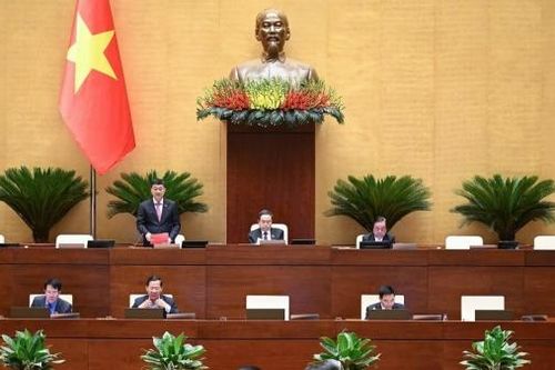 Đại biểu Nguyễn Tâm Hùng: Cấp xã phải có vai trò, trách nhiệm trong xây dựng quy hoạch