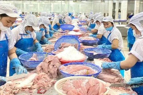 Tin Công Thương 28/5: Xuất khẩu cá tra sang thị trường EU duy trì đà tăng trưởng