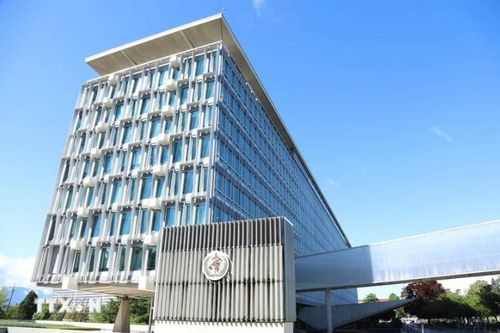 Bước đi biểu tượng hướng đến nhà nước Palestine độc lập