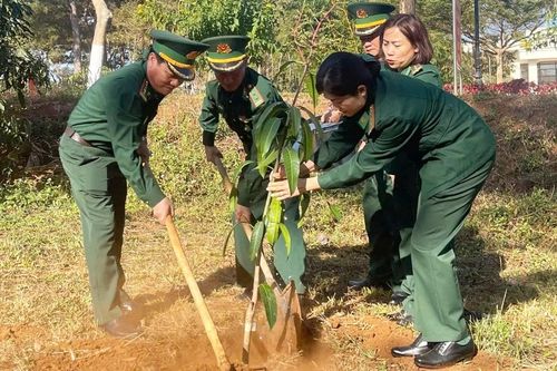 Bộ đội Biên phòng tích cực trồng cây xanh để bảo vệ môi trường